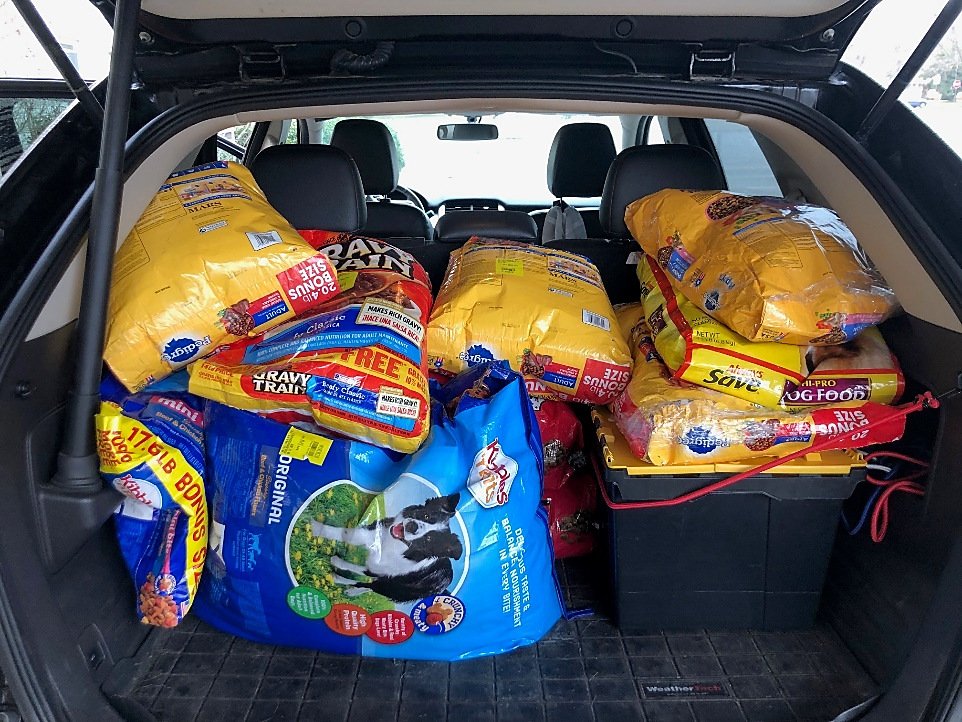 dog food - CEO