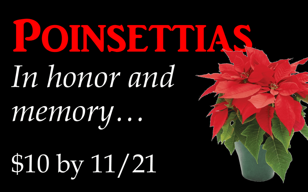 Order your poinsettias!